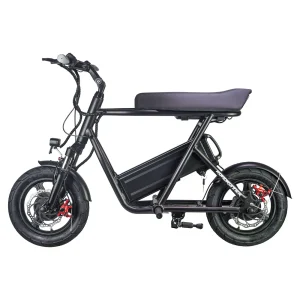 EMOVE RoadRunner-Pro Seated Electric-Scooter